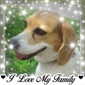 Meet your Posher, Fredda